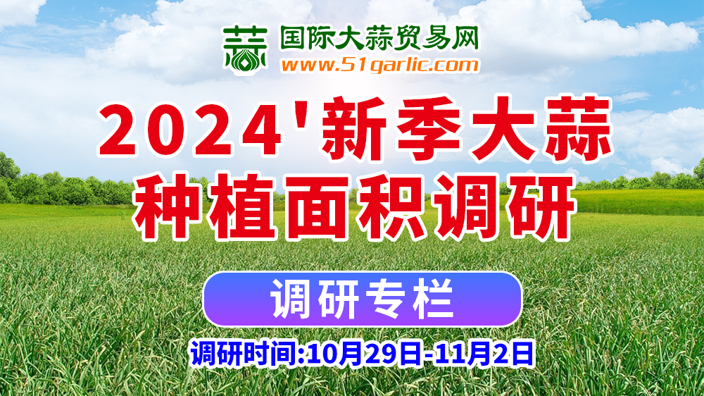 1000-562專(zhuān)欄